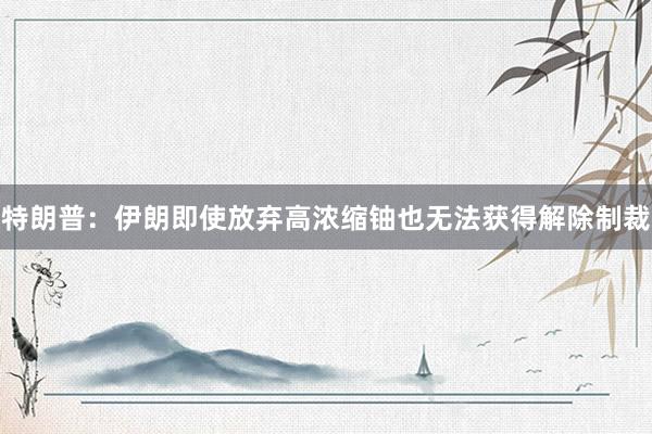 特朗普：伊朗即使放弃高浓缩铀也无法获得解除制裁