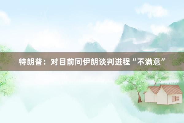 特朗普：对目前同伊朗谈判进程“不满意”