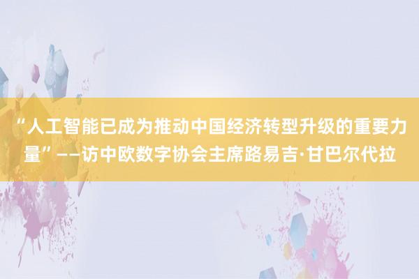 “人工智能已成为推动中国经济转型升级的重要力量”——访中欧数字协会主席路易吉·甘巴尔代拉