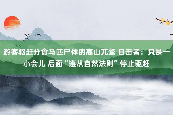 游客驱赶分食马匹尸体的高山兀鹫 目击者：只是一小会儿 后面“遵从自然法则”停止驱赶