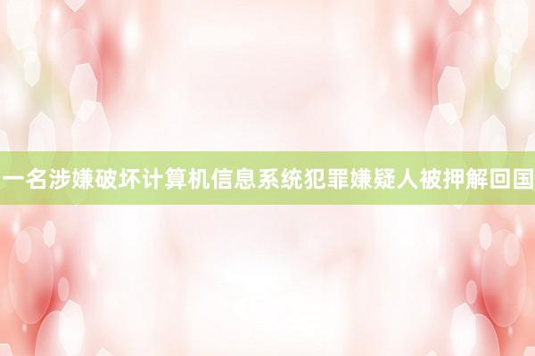 一名涉嫌破坏计算机信息系统犯罪嫌疑人被押解回国