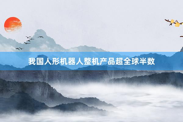 我国人形机器人整机产品超全球半数