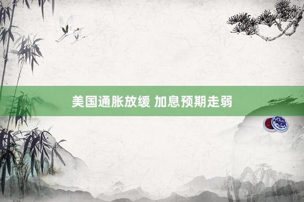 美国通胀放缓 加息预期走弱