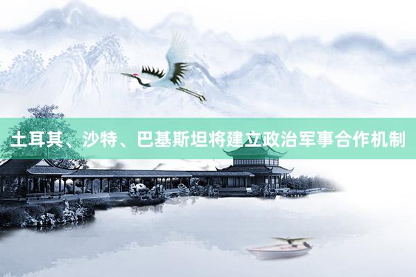 土耳其、沙特、巴基斯坦将建立政治军事合作机制
