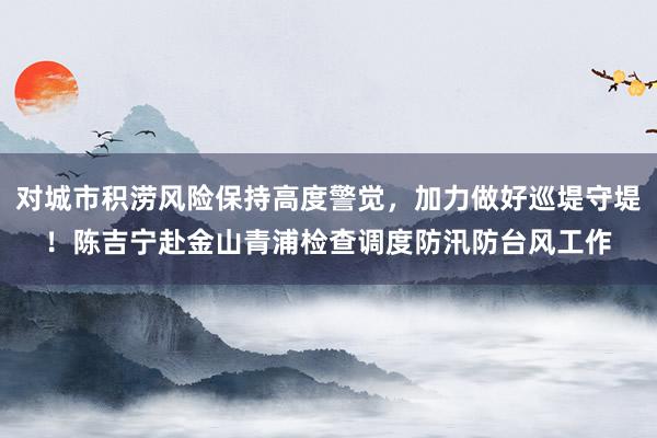 对城市积涝风险保持高度警觉，加力做好巡堤守堤！陈吉宁赴金山青浦检查调度防汛防台风工作