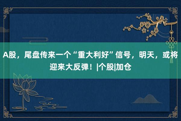A股，尾盘传来一个“重大利好”信号，明天，或将迎来大反弹！|个股|加仓