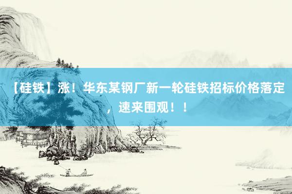 【硅铁】涨！华东某钢厂新一轮硅铁招标价格落定，速来围观！！