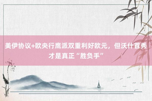 美伊协议+欧央行鹰派双重利好欧元，但沃什首秀才是真正“胜负手”