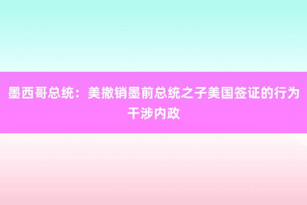 墨西哥总统：美撤销墨前总统之子美国签证的行为干涉内政
