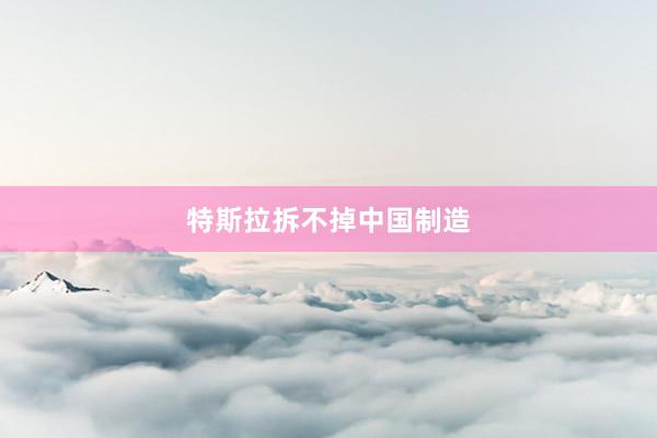 特斯拉拆不掉中国制造