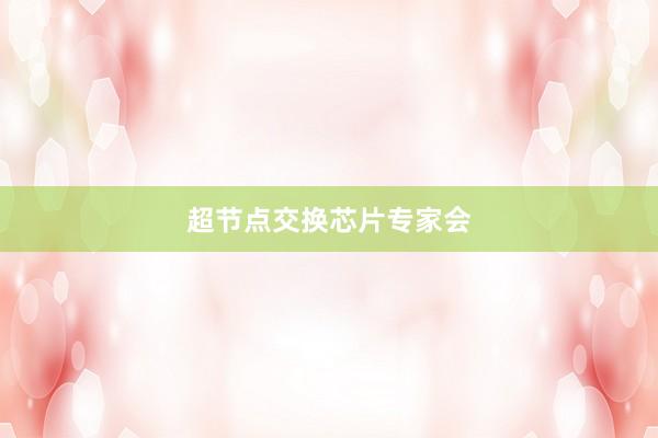 超节点交换芯片专家会