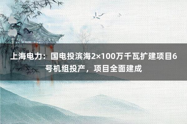 上海电力：国电投滨海2×100万千瓦扩建项目6号机组投产，项目全面建成