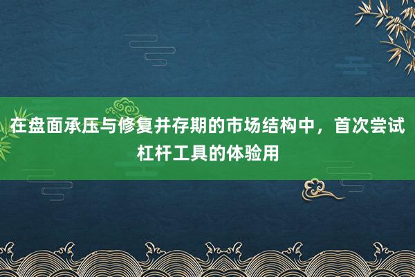 在盘面承压与修复并存期的市场结构中，首次尝试杠杆工具的体验用