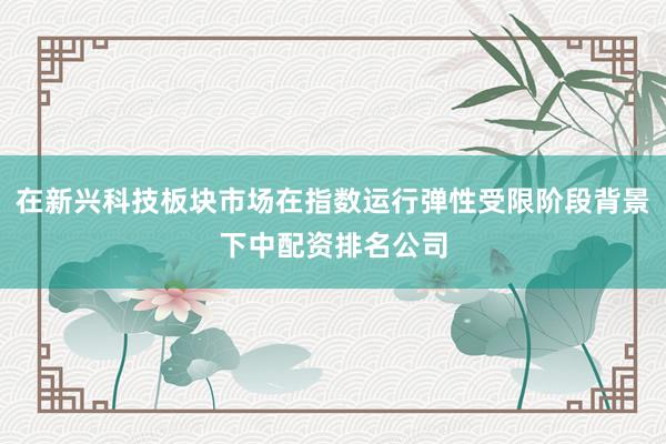 在新兴科技板块市场在指数运行弹性受限阶段背景下中配资排名公司