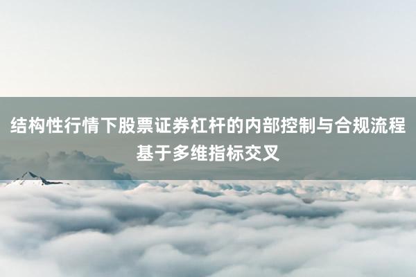 结构性行情下股票证券杠杆的内部控制与合规流程基于多维指标交叉