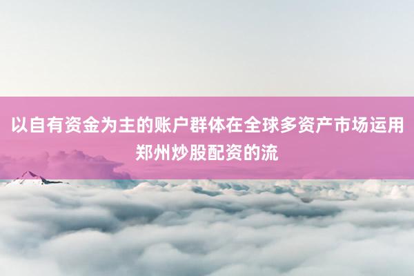 以自有资金为主的账户群体在全球多资产市场运用郑州炒股配资的流