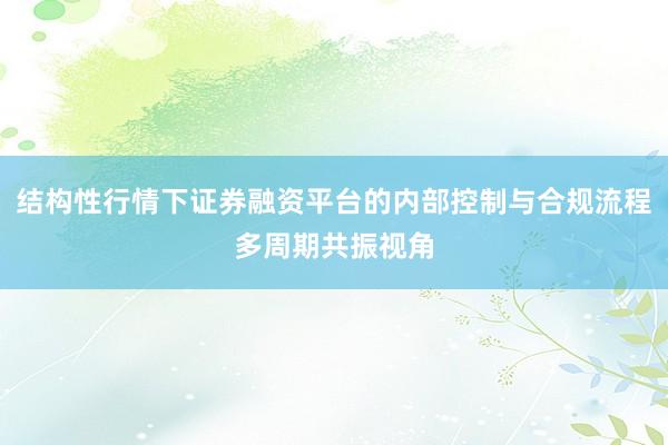 结构性行情下证券融资平台的内部控制与合规流程多周期共振视角