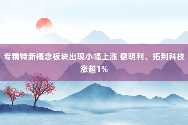 专精特新概念板块出现小幅上涨 德明利、拓荆科技涨超1%