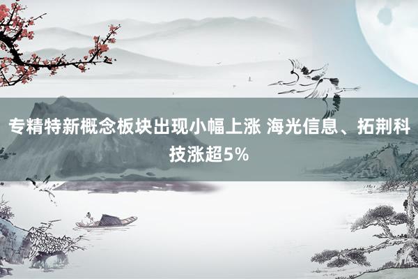 专精特新概念板块出现小幅上涨 海光信息、拓荆科技涨超5%