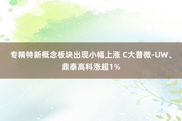 专精特新概念板块出现小幅上涨 C大普微-UW、鼎泰高科涨超1%