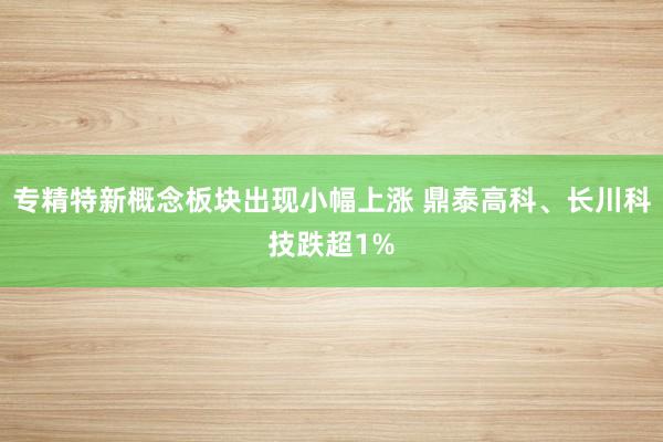 专精特新概念板块出现小幅上涨 鼎泰高科、长川科技跌超1%