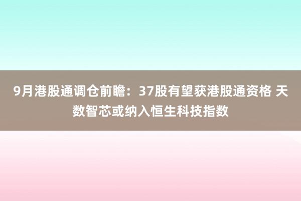 9月港股通调仓前瞻：37股有望获港股通资格 天数智芯或纳入恒生科技指数