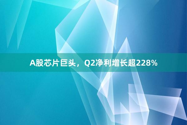 A股芯片巨头，Q2净利增长超228%