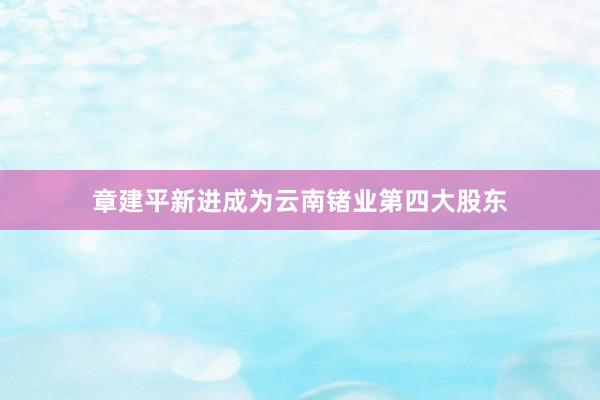 章建平新进成为云南锗业第四大股东