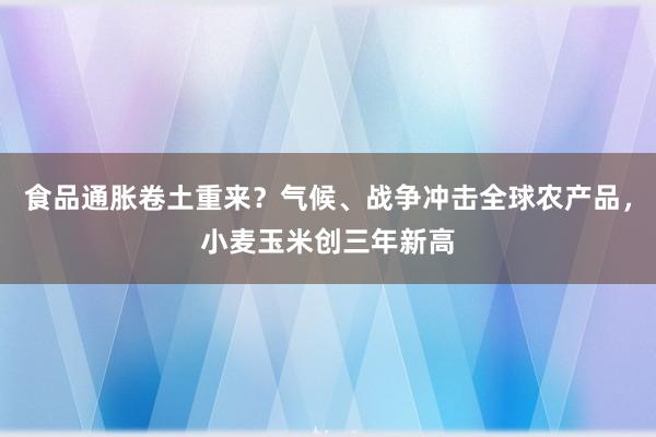 食品通胀卷土重来？气候、战争冲击全球农产品，小麦玉米创三年新高