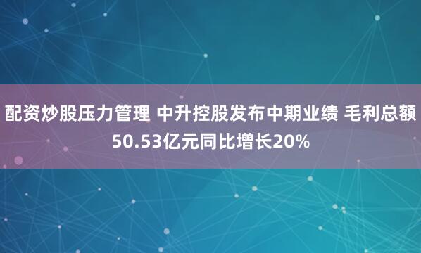 配资炒股压力管理 中升控股发布中期业绩 毛利总额50.53亿元同比增长20%