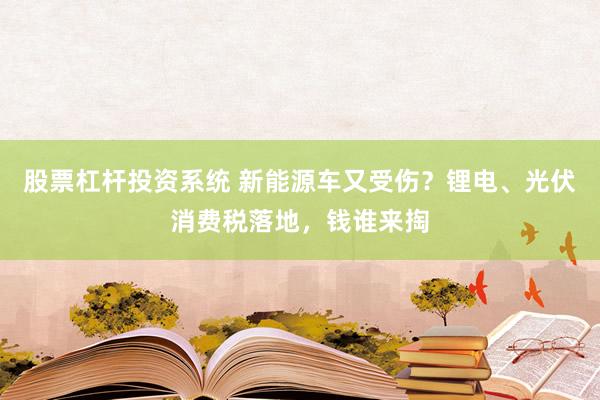 股票杠杆投资系统 新能源车又受伤？锂电、光伏消费税落地，钱谁来掏