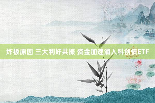 炸板原因 三大利好共振 资金加速涌入科创债ETF