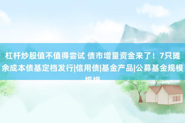 杠杆炒股值不值得尝试 债市增量资金来了！7只摊余成本债基定档发行|信用债|基金产品|公募基金规模