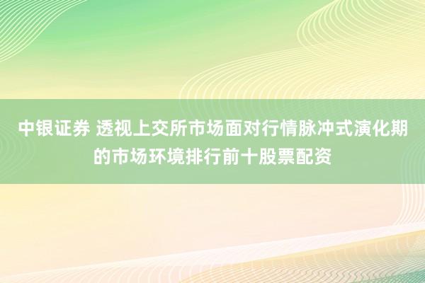 中银证券 透视上交所市场面对行情脉冲式演化期的市场环境排行前十股票配资
