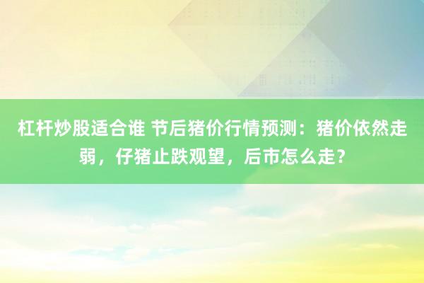 杠杆炒股适合谁 节后猪价行情预测：猪价依然走弱，仔猪止跌观望，后市怎么走？