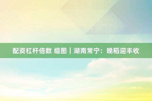 配资杠杆倍数 组图｜湖南常宁：晚稻迎丰收