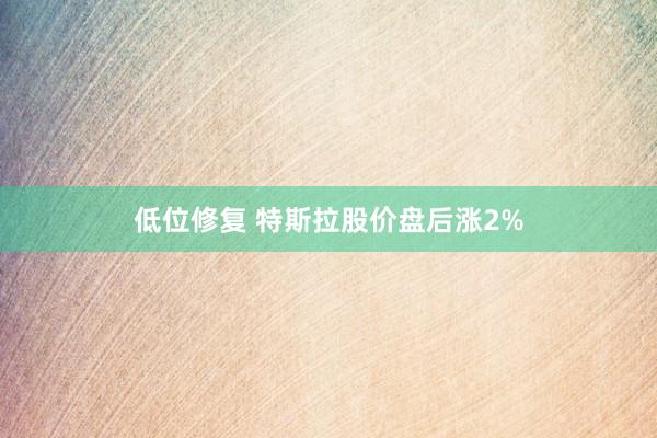 低位修复 特斯拉股价盘后涨2%