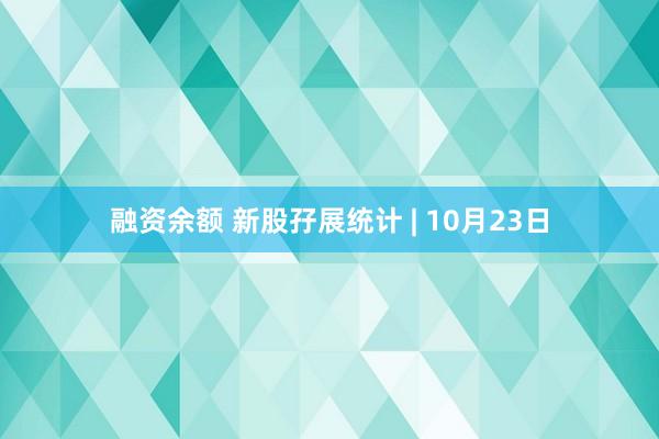 融资余额 新股孖展统计 | 10月23日